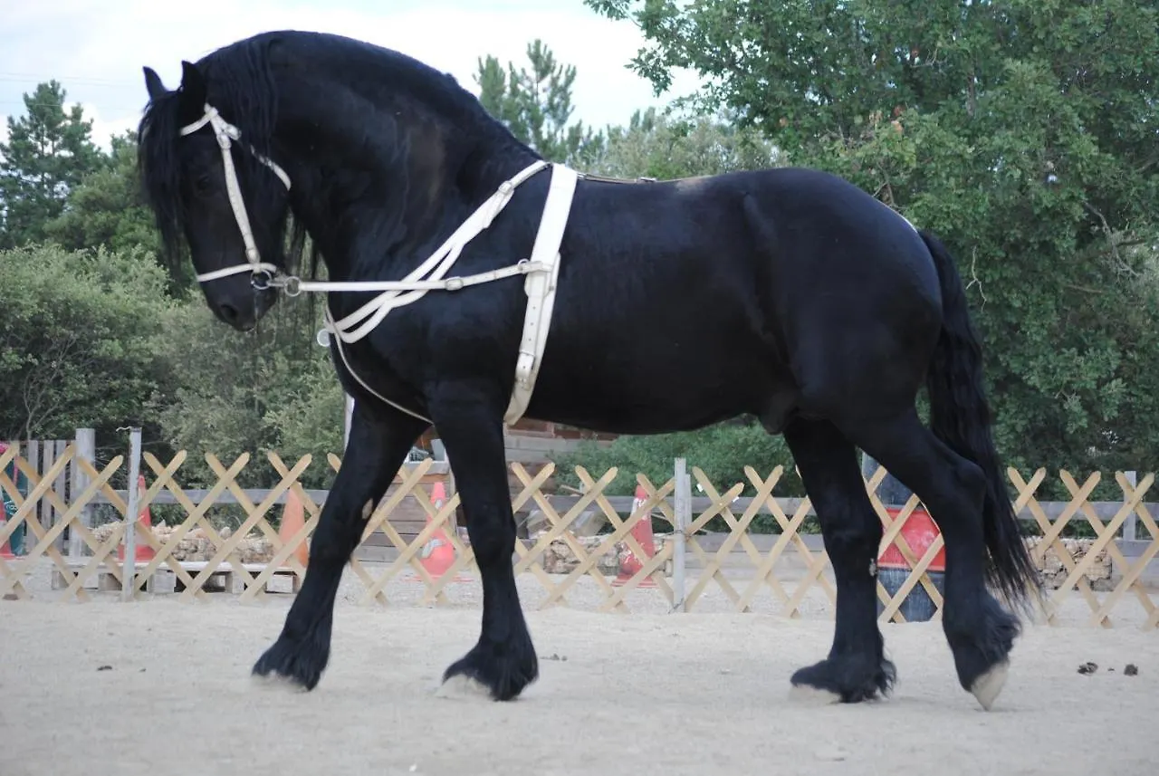 Les Gites Du Parc Animalier De Ginasservis 0*,  Frankrijk