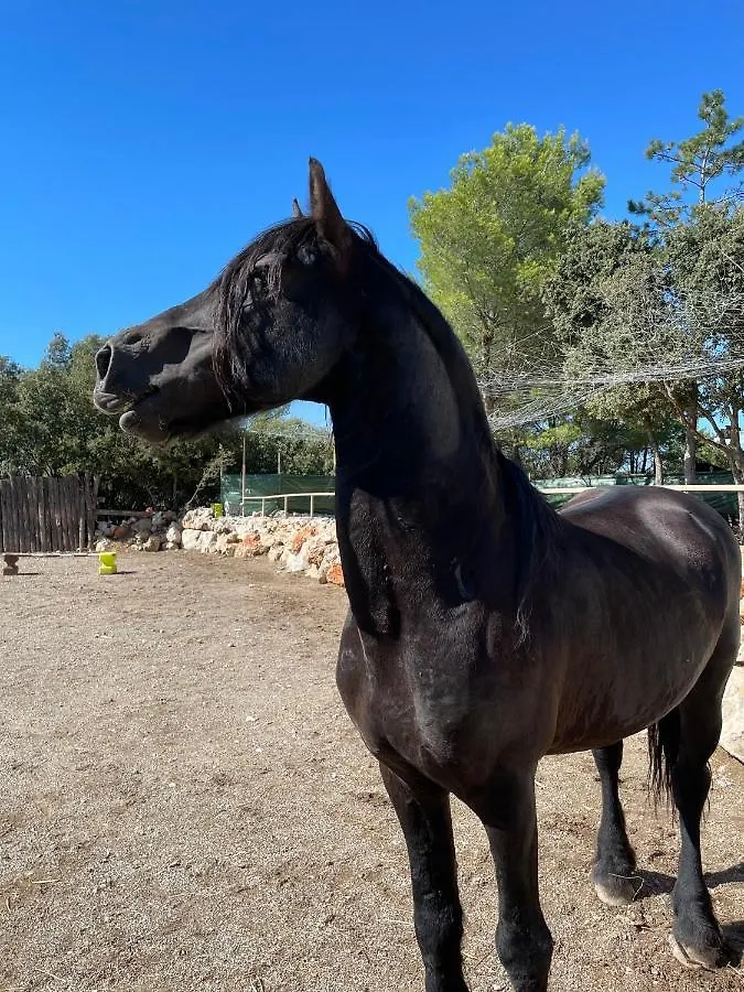 Aparthotel Les Gites Du Parc Animalier De Ginasservis Frankrijk