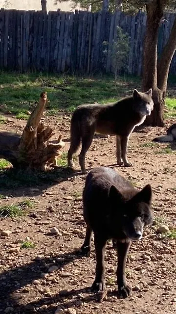 Les Gites Du Parc Animalier De Ginasservis Aparthotel