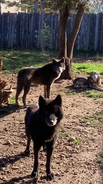 Les Gites Du Parc Animalier De Ginasservis